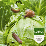 Pokon bio contre les escargots granulés 450gr