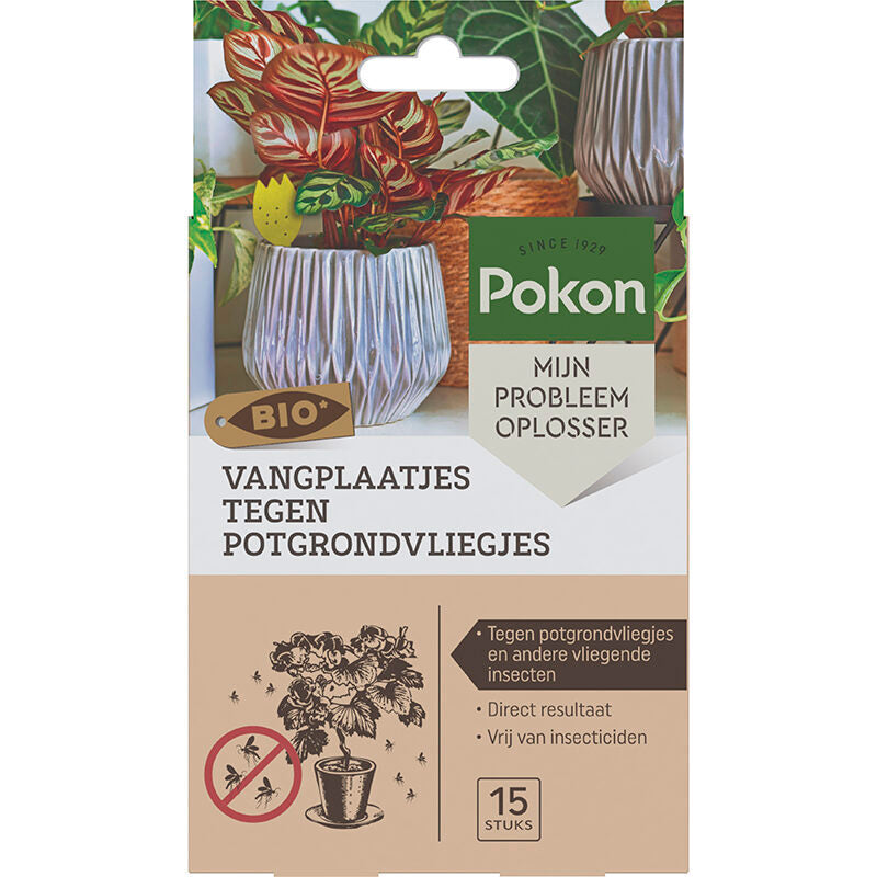 Pokon bio pièges collants contre les mouches du terreau 15 pcs