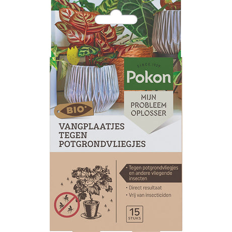 Pokon bio pièges collants contre les mouches du terreau 15 pcs