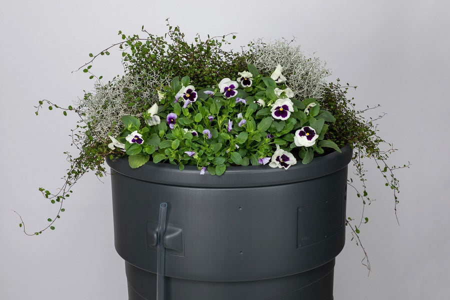 Pot de jardin avec baril de pluie 230l