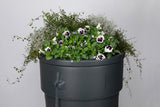 Pot de jardin avec baril de pluie 230l
