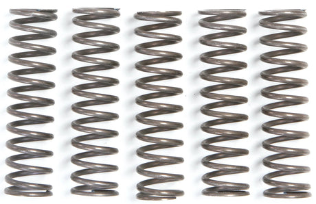 TRW jeu de ressorts d'embrayage kit de ressorts d'embrayage mef105-5