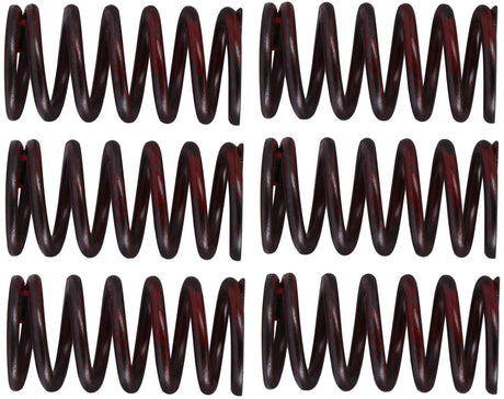 TRW jeu de ressorts d'embrayage kit de ressorts d'embrayage mef320-6