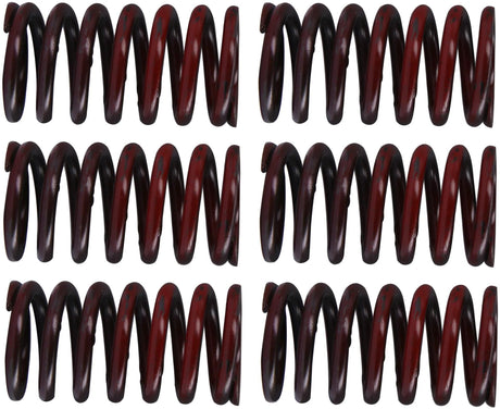 TRW jeu de ressorts d'embrayage kit de ressorts d'embrayage mef317-6