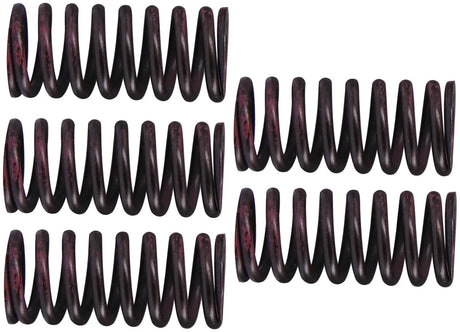 TRW jeu de ressorts d'embrayage kit de ressorts d'embrayage mef316-5