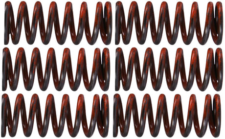 TRW jeu de ressorts d'embrayage kit de ressorts d'embrayage mef325-6