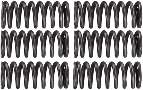 TRW jeu de ressorts d'embrayage kit de ressorts d'embrayage mef162-6