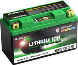 Batterie Skyrich lifepo4 hjt9b-fp. batterie hjt9b-fp-si lithium