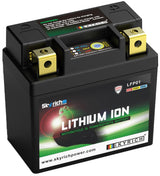 Batterie Skyrich lifepo4 lfp01. batterie lfp01-i lithium