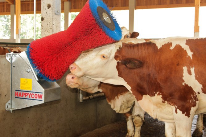 Brosse à vache Happycow uno horizontale