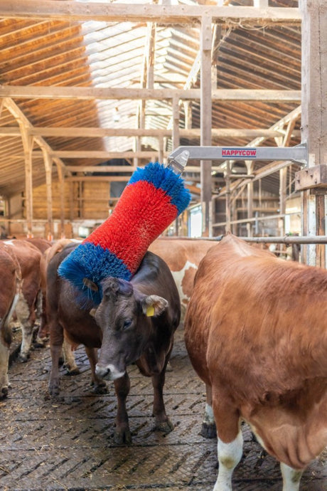 Produits brosse à bovins happycow freemaxi