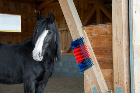 Produits brosse à vaches demi-circulaire brosse à bovins bleu rouge xl