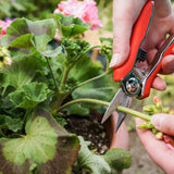 Mini boîte de ciseaux tondeuse Connex - flor70368