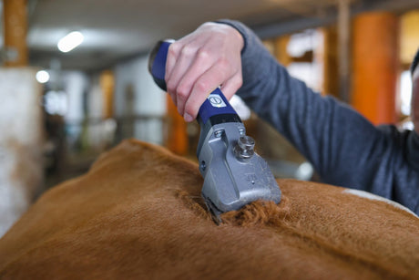 Aesculap econom rasoir à batterie aesculap bonum pro 1 batterie bleu