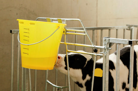 Produits seau à veaux plastique aplati nu jaune transparent