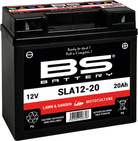 Bs-batterie batterie 12-20 batterie 12-20 bs laitue jardin