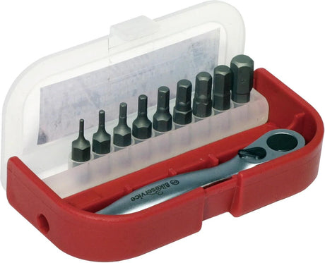 Jeu d'embouts Bikeservice bs6006 bitstz m umschltknr bst 10tlg in6knt