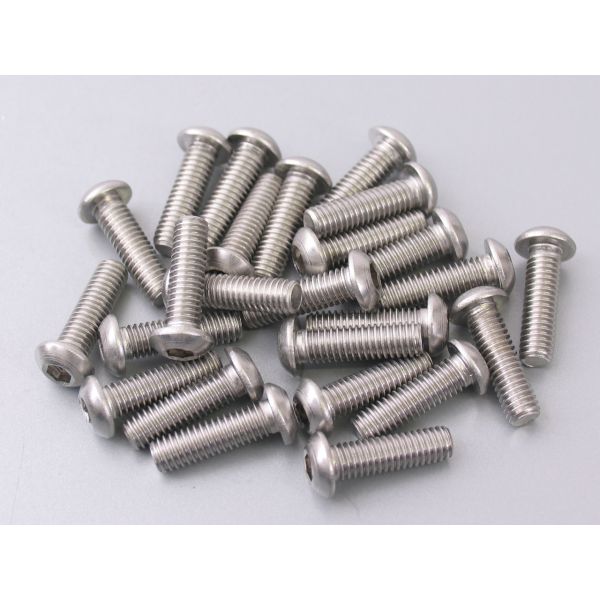 Allenbout Bolkop M6 x 20 mm en acier inoxydable 25 pièces (214291)