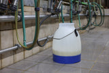 Kerbl seau à lait semi transparent bleu 30 litres