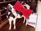 Brosse à vache Happycow uno horizontale