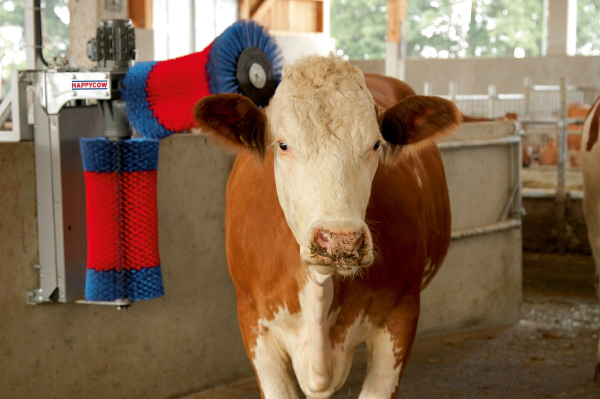 Duo de brosses à vaches Happycow