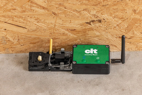Produits piège à souris smart cit mousestop