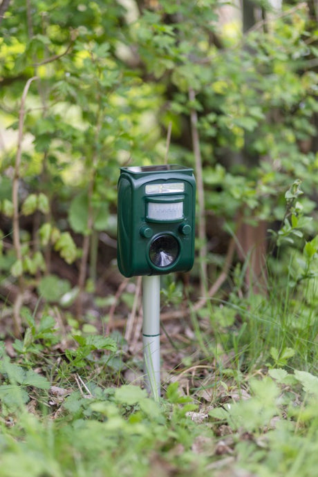 Produits répulsif pour animaux sonicflash énergie solaire