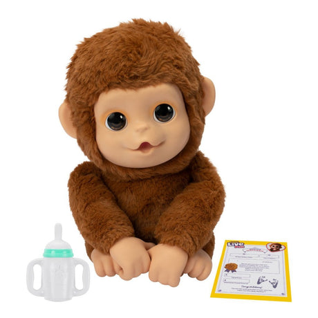 Petits animaux vivants mon bébé singe + son