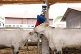 Produits brosse à bovins happycow flexiswing