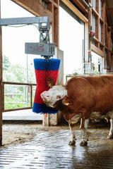 Produits brosse à vaches happycow maxiswing