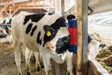 Brosse à vaches semi-circulaire brosse à bovins bleu-rouge xl