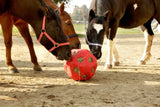Produits nourriture balle de jeu rouge