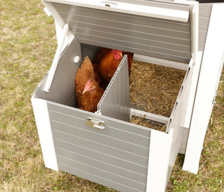 Produits poulailler eco stable plastique barney