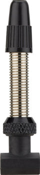 Valve tubeless suisse DT