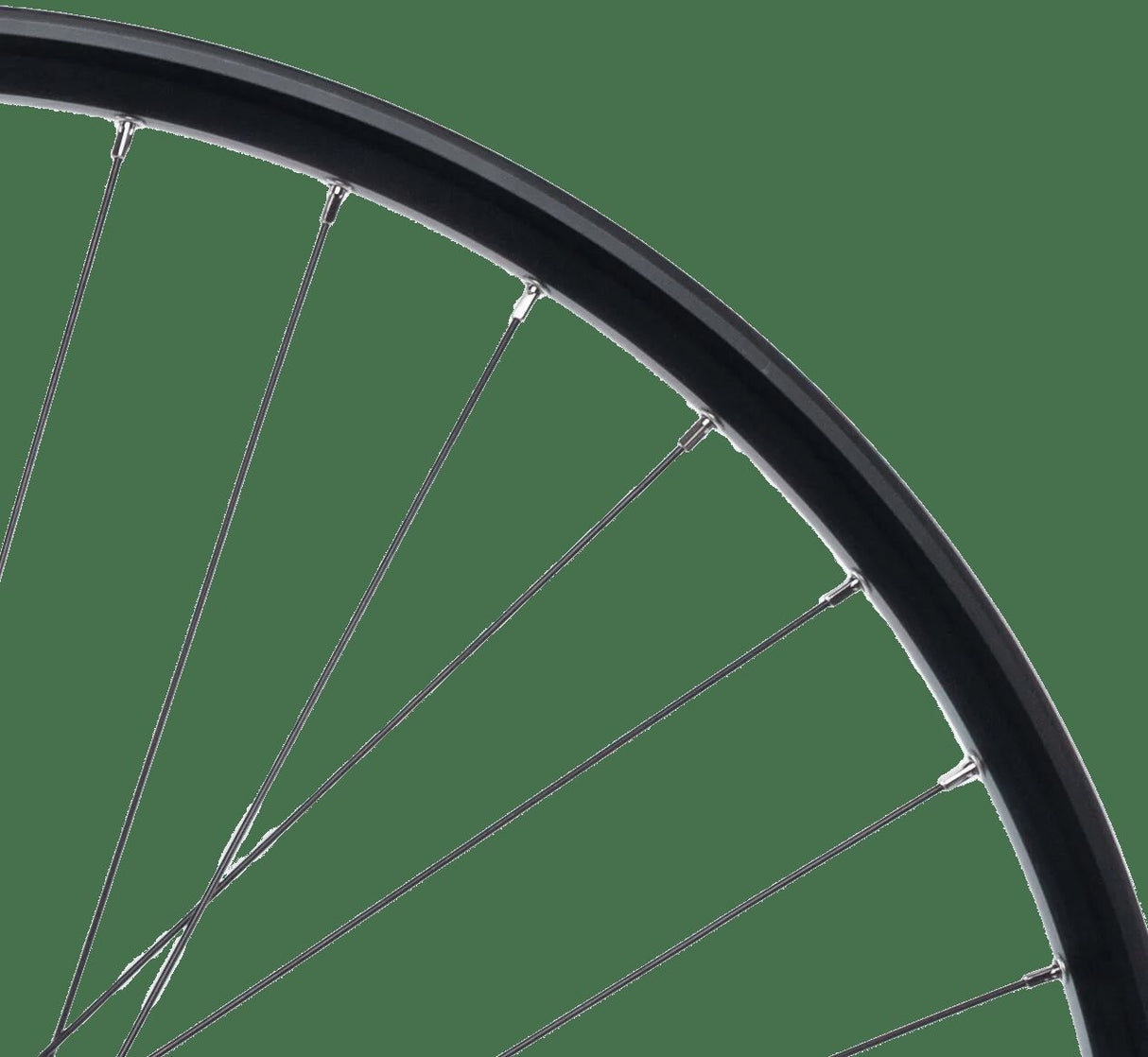 Roue arrière Contec taurus 21 + shimano fh-qc400. heure 29 aluminium hk sw 8-1 sp.sw 2,00