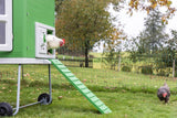 Poulailler en plastique Abi mobilecoop