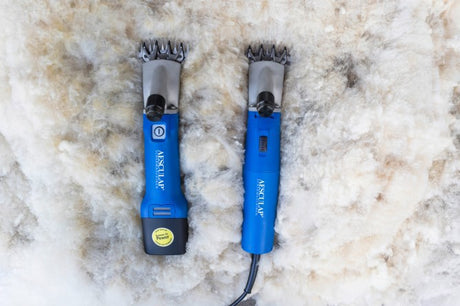 Aesculap econom products tondeuse à moutons econom nova sans fil plus1 batterie