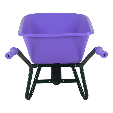 Brouette Fort tk 100 lavande
