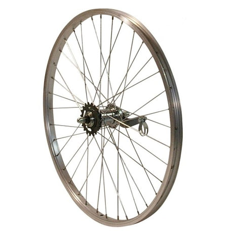 Roue arrière HZB 24 pouces Etro 507 Alu Remonaf Silver