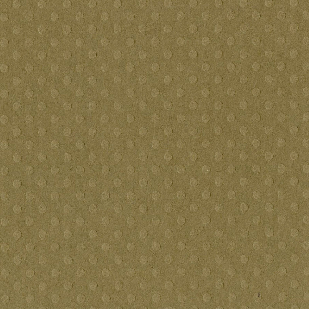 Bazzill • flaque de boue dot swiss 30,5x30,5cm