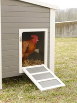 Poulailler eco stable en plastique barney