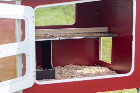 Poulailler en bois Abi mobilecoop