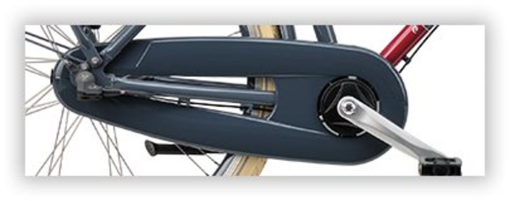 Carter de chaîne Batavus abellioblue 26