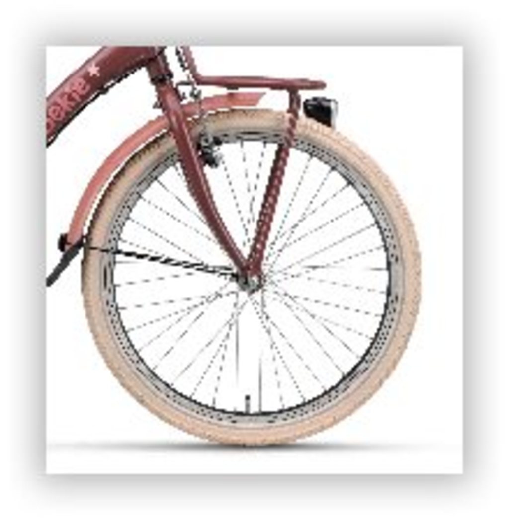 Roue avant Batavus 22 jante rigide_noir