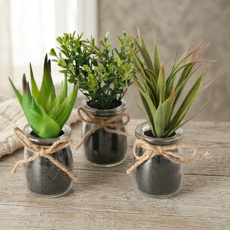 Boltze home sukkulente en pot ø10x17cm plante artificielle dans un bocal en verre