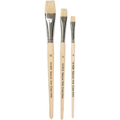Pinceaux Creativ company nature line, taille 8+12+20, l: 18,5-20,5 cm, l: 10-20 mm, plats, 3 pièces 1 boîte