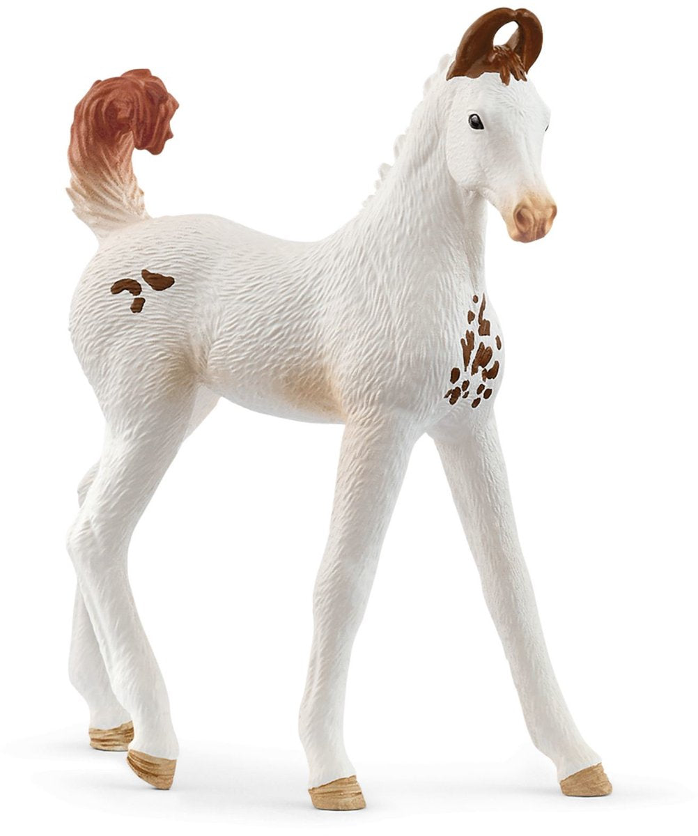 Schleich 14896 poulain marwari | 5 pièces