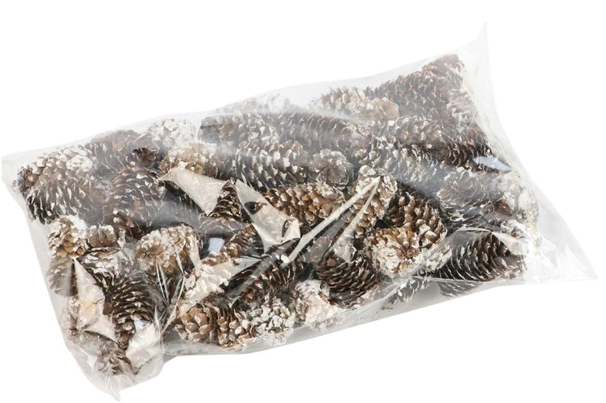 HBx set de décoration natural living pomme de pin mini 180gr
