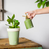 Pulvérisateur de plantes design Esschert dans les tons verts assortis