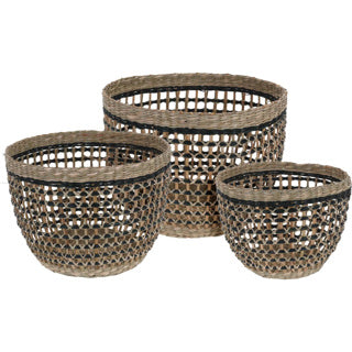 Paniers autour des herbiers marins set3